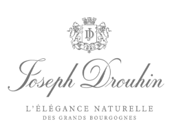 Maison Joseph Drouhin